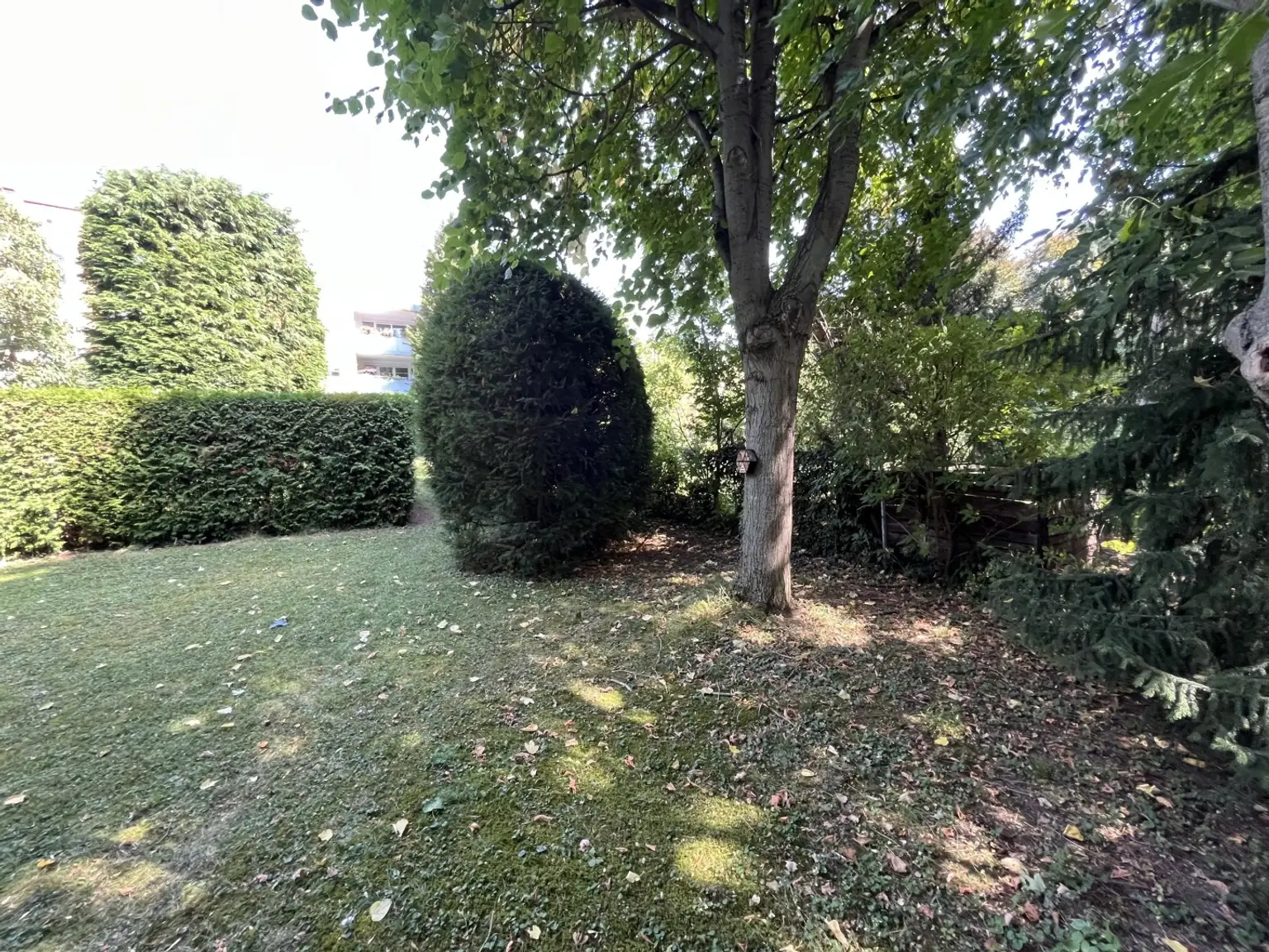 Exklusive Dachgeschosswohnung zwischen Schloss Hetzendorf und Schloss Schönbrunn