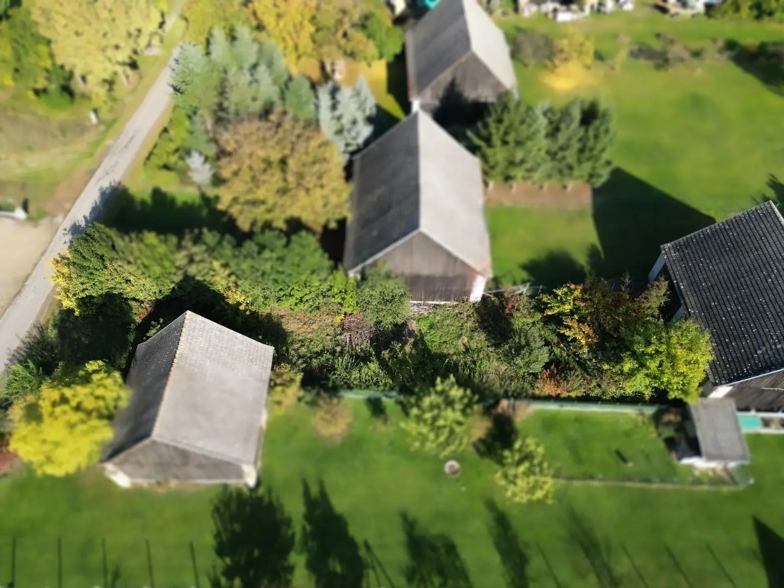 -20000434_1004114953_16227747