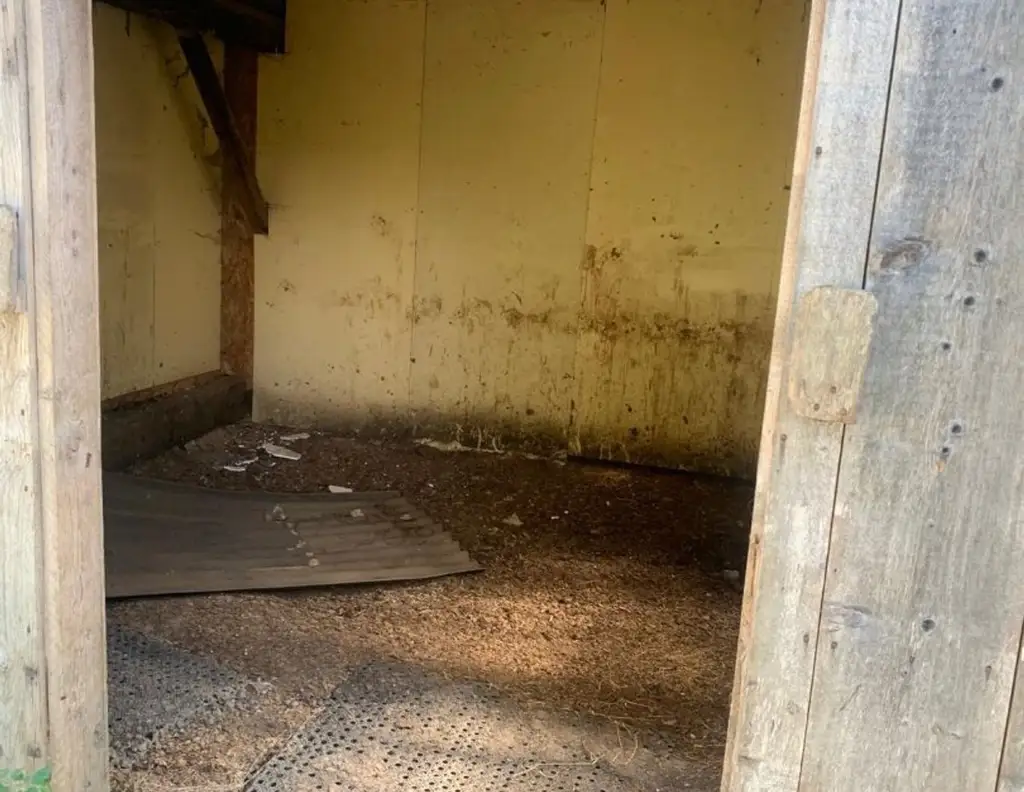 St Veit / St Donat : 2,7 Ha Land- und Forstw. -Grundstück mit Widmungpotenzial , zzt Pferde Weide mit Stall & Quelle, in traumhafter Lage in Kärnten - für 349.000,00 € zu haben!