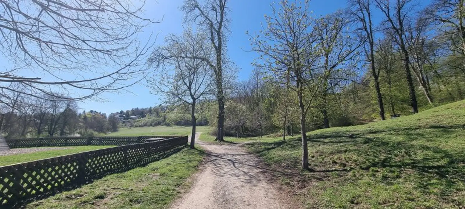 Villa beim Lainzer Tiergarten nach Kundenwunsch geplant - Edelrohbau mit Baugenehmigung - Lift im Haus möglich