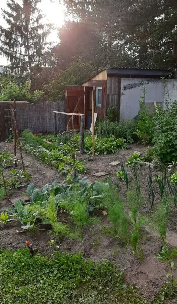 Selbstversorger Hof für die ganze Familie in ruhiger Lage und tollem Fernblick!