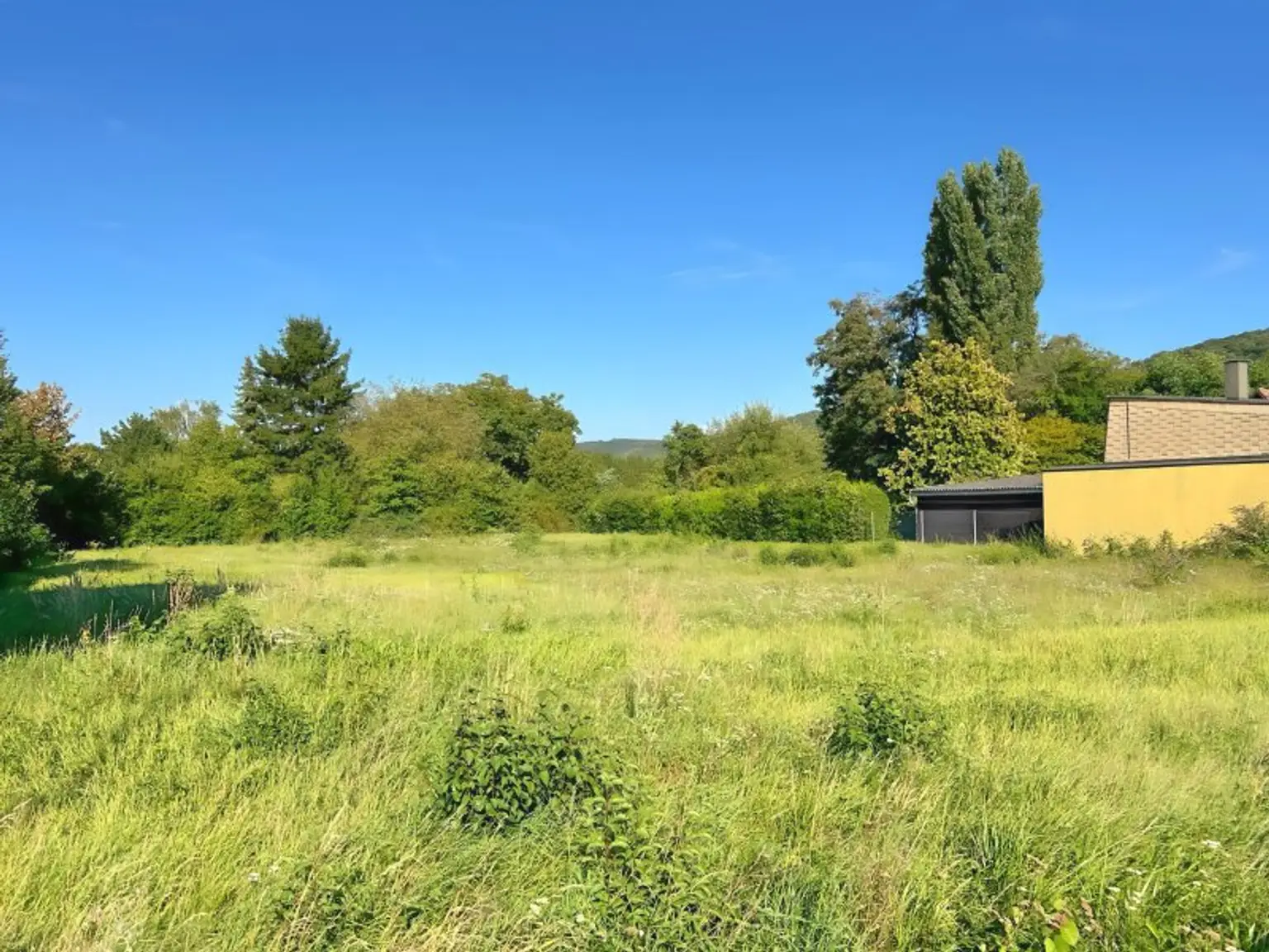 Sonniges Baugrundstück in Wolfpassing: 2.102m² für 989.000 € – Ihr Platz zum Leben! AUCH FÜR BAUTRÄGER INTERESSANT!