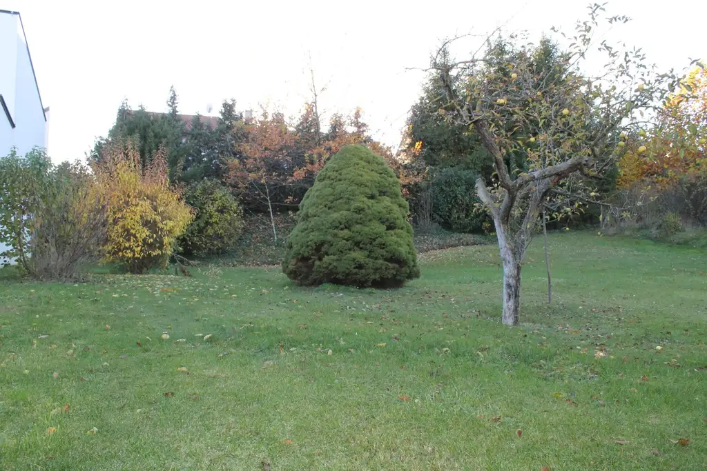 "Baugrund in Sackgasse!"