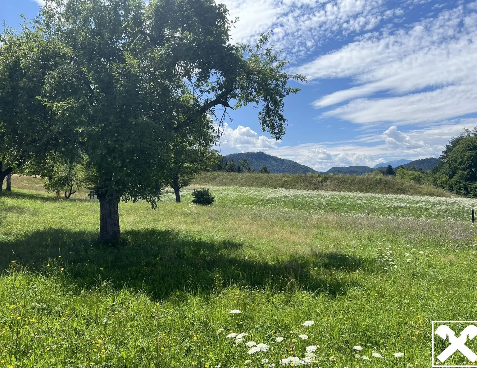 Ruhiges Idyll am Waldrand