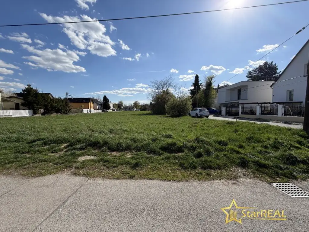 NEUBAU MIT KELLER! STABILES ZIEGELHAUS IN WIENERBERGER-BAUMEISTERQUALITÄT. PROVISIONSFREI für den Käufer.