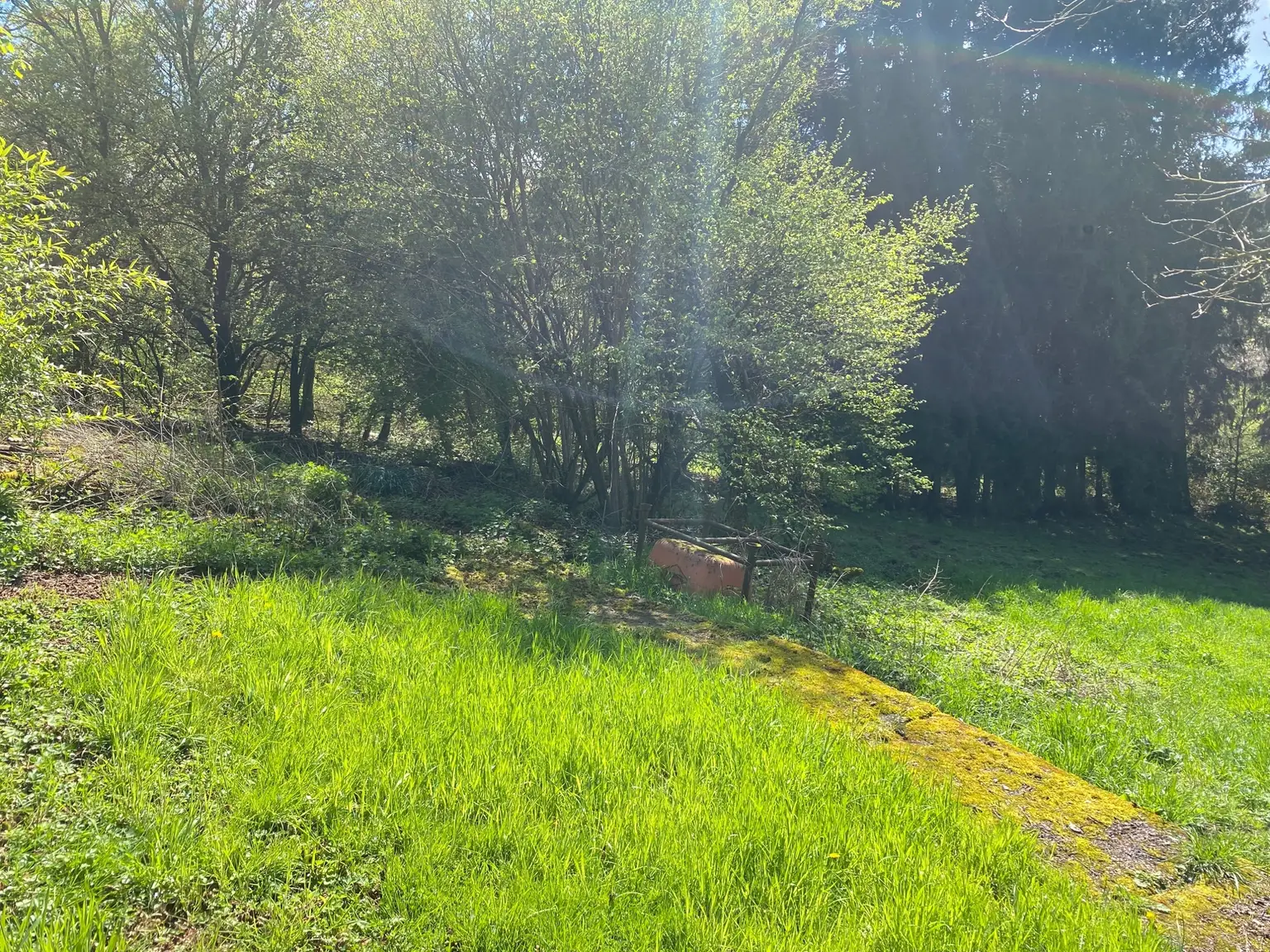 Grundstück