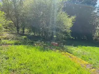 Grundstück