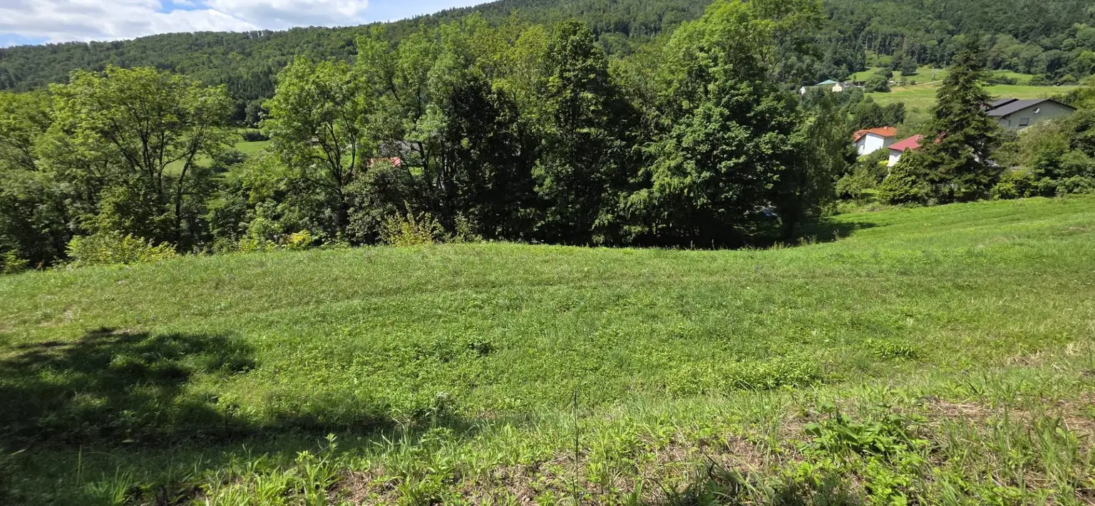 Bauland (ca. 8.700 m²) in herrlicher Panoramalage zu kaufen in Stattegg!