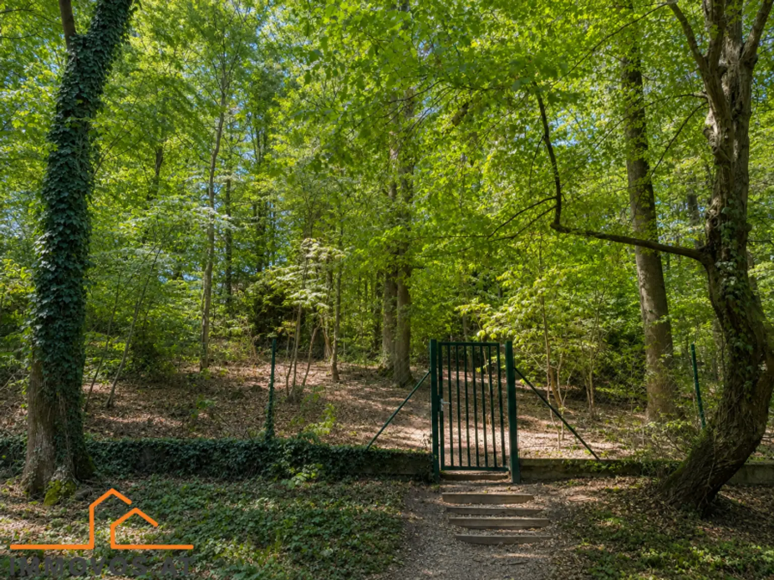 Ausgang Wald.png