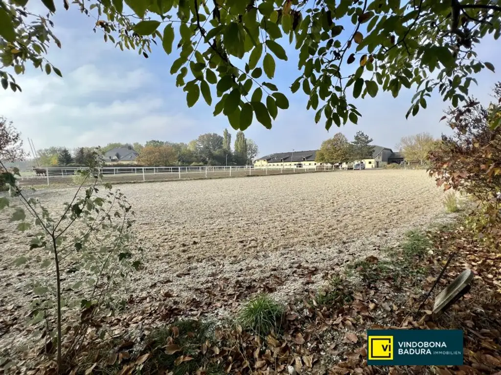 Exklusive Reitsportanlage vor den Toren Wiens – 145 Boxen | Reithallen | Reitplätze | Koppeln | Villa & Personalwohnungen