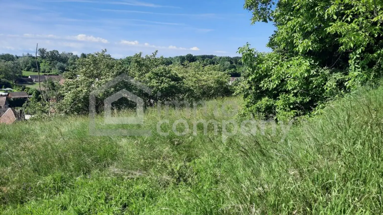 Traumhaftes Baugrundstück in Thallern: 4392 m² für Ihr Eigenheim um nur 249.000 €!