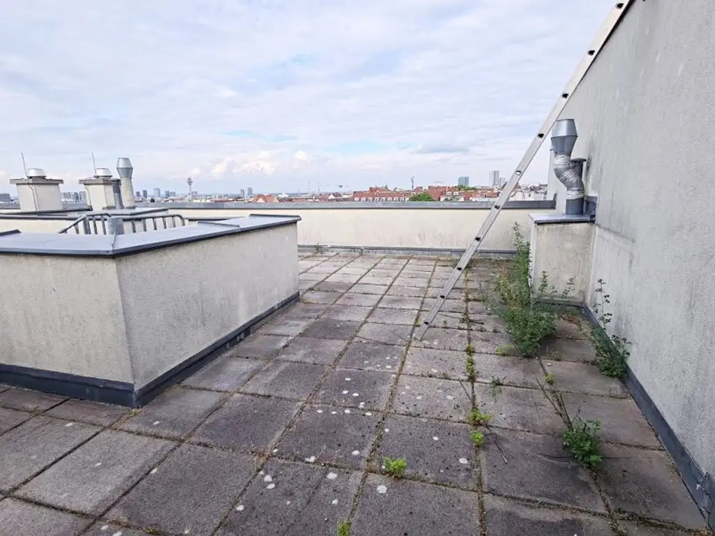 TERRASSENHIT, 61 m2 Dachgeschoß mit 48 m2 Terrasse, Wohnküche, 1 Zimmer, Wannenbad, Parketten, Fernblick, Holbeingasse