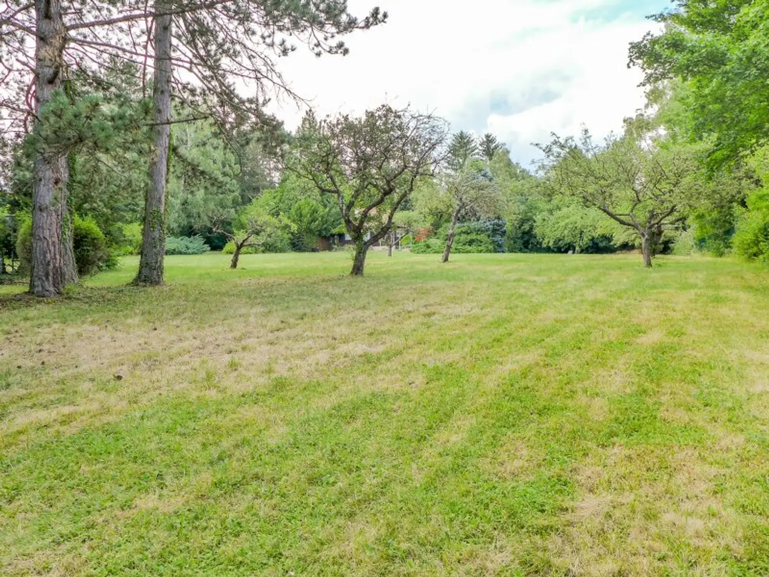 Entwicklungsfähige Liegenschaft im Wienerwald - 6.293 m² Bauland Wohngebiet