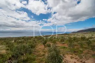 Anwesen-Chio-xxx-Teneriffa-32