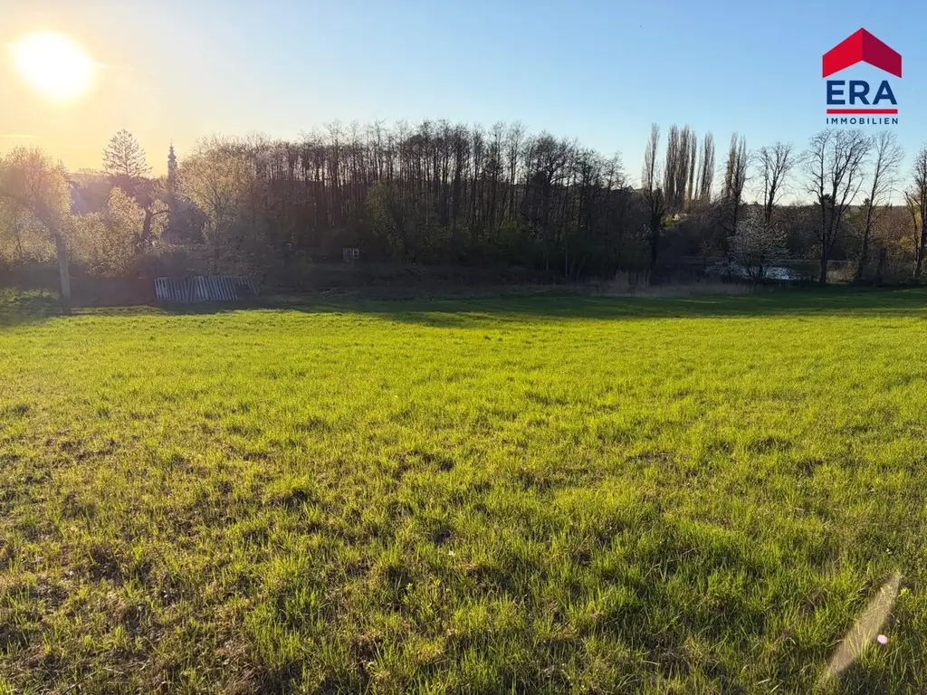 Exklusives Freizeitgrundstück in absoluter Grünruhelage – Natur, Weite & vielfältiges Potenzial in Gaweinstal