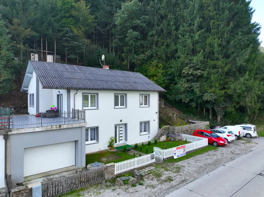 Wohnhaus mit zwei Einheiten und Donaublick