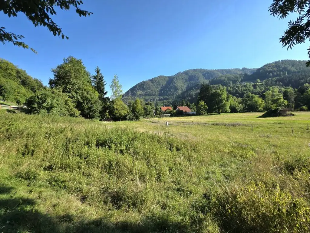Sonniges Wohnerlebnis mit schöner Aussicht!