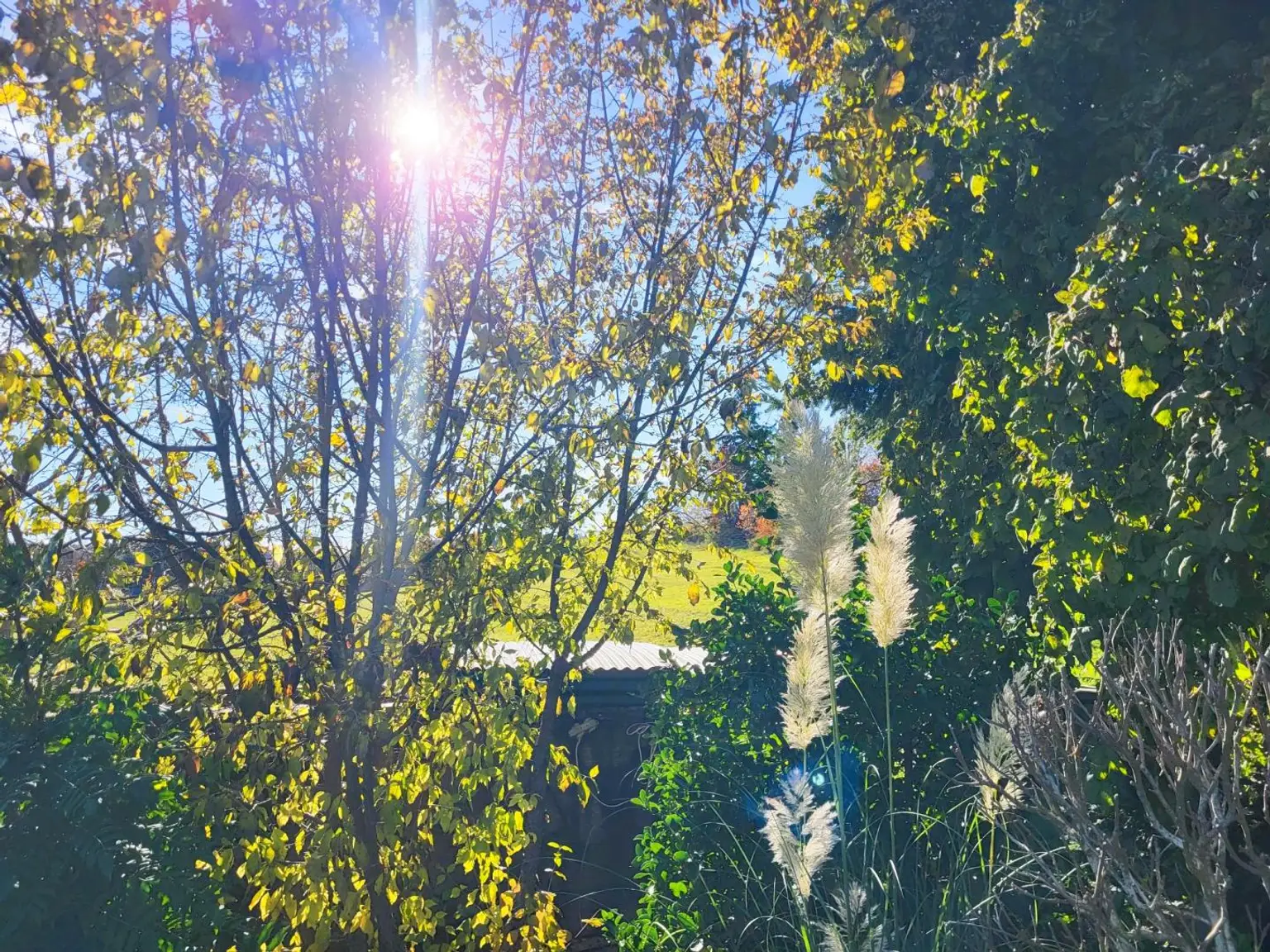 MASSIVHAUS MIT IDYLLISCHEM GARTEN IN SCHÖNER HÖHEN-AUSSICHTSLAGE