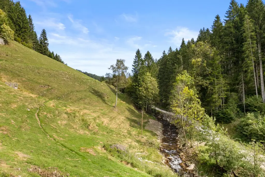 Kleinlandwirtschaft mit Wohnhaus und Wirtschaftsgebäude in Unterpreitenegg im Oberen Lavanttal