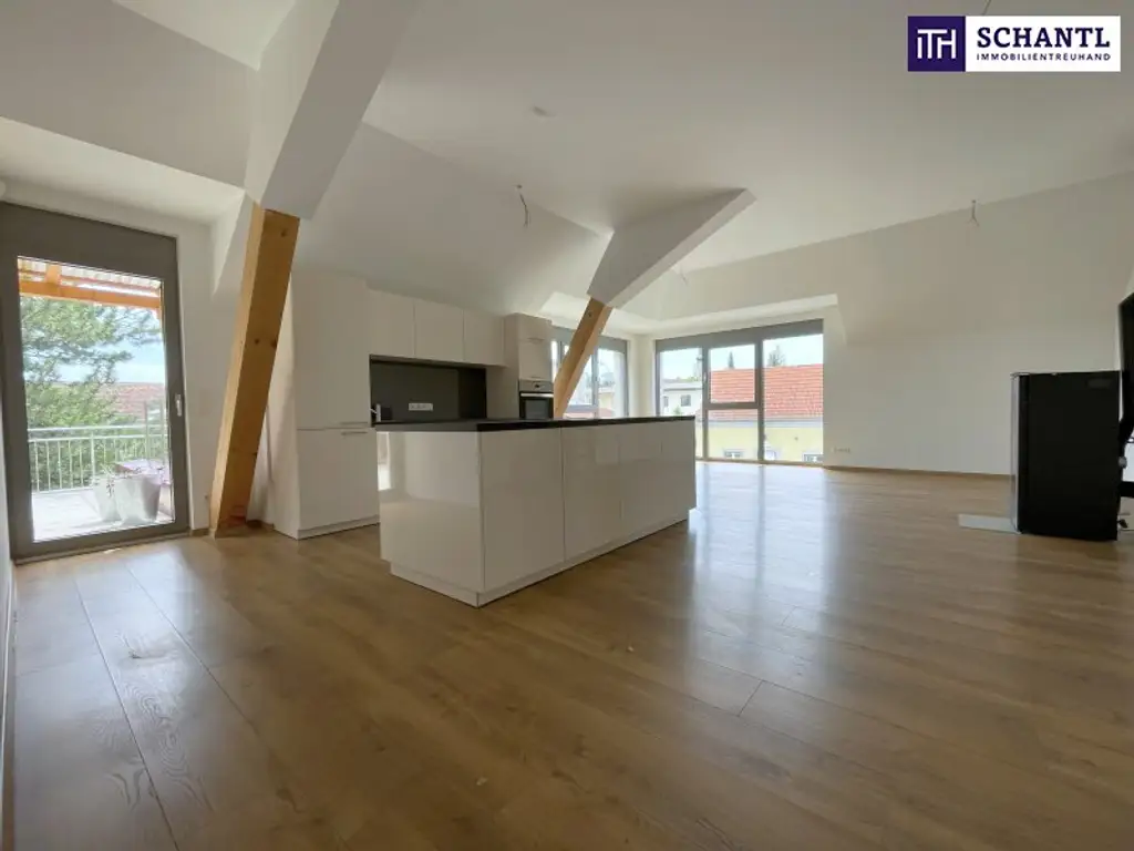Großzügig. Hell. Ungestört. Penthouse-Feeling mit riesigen Fensterfronten und 40 m² großer Terrasse im Zentrum von Unterwaltersdorf!