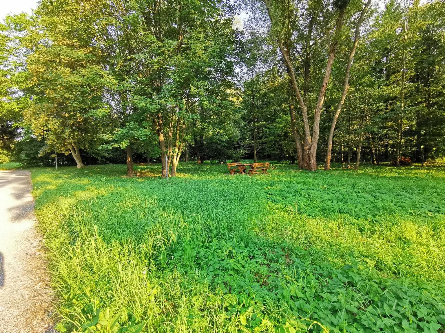 Wohnen mit Panoramablick auf die Rax!