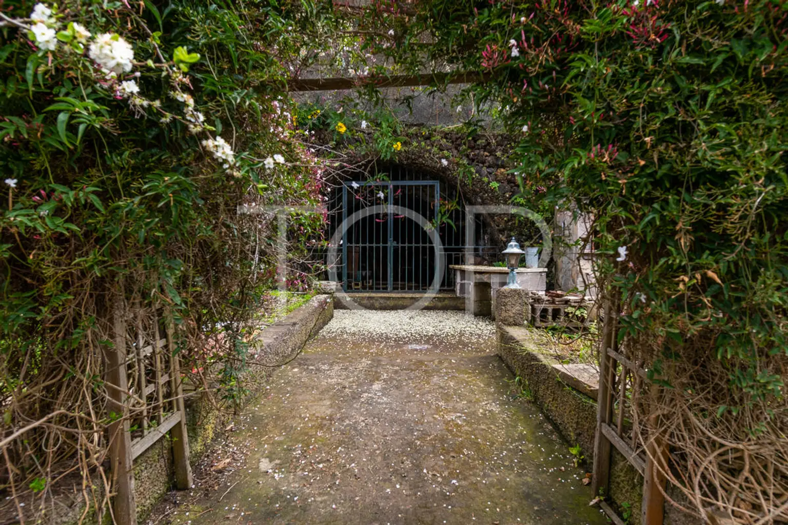 Haus-La-Orotava-xxx-Teneriffa-4