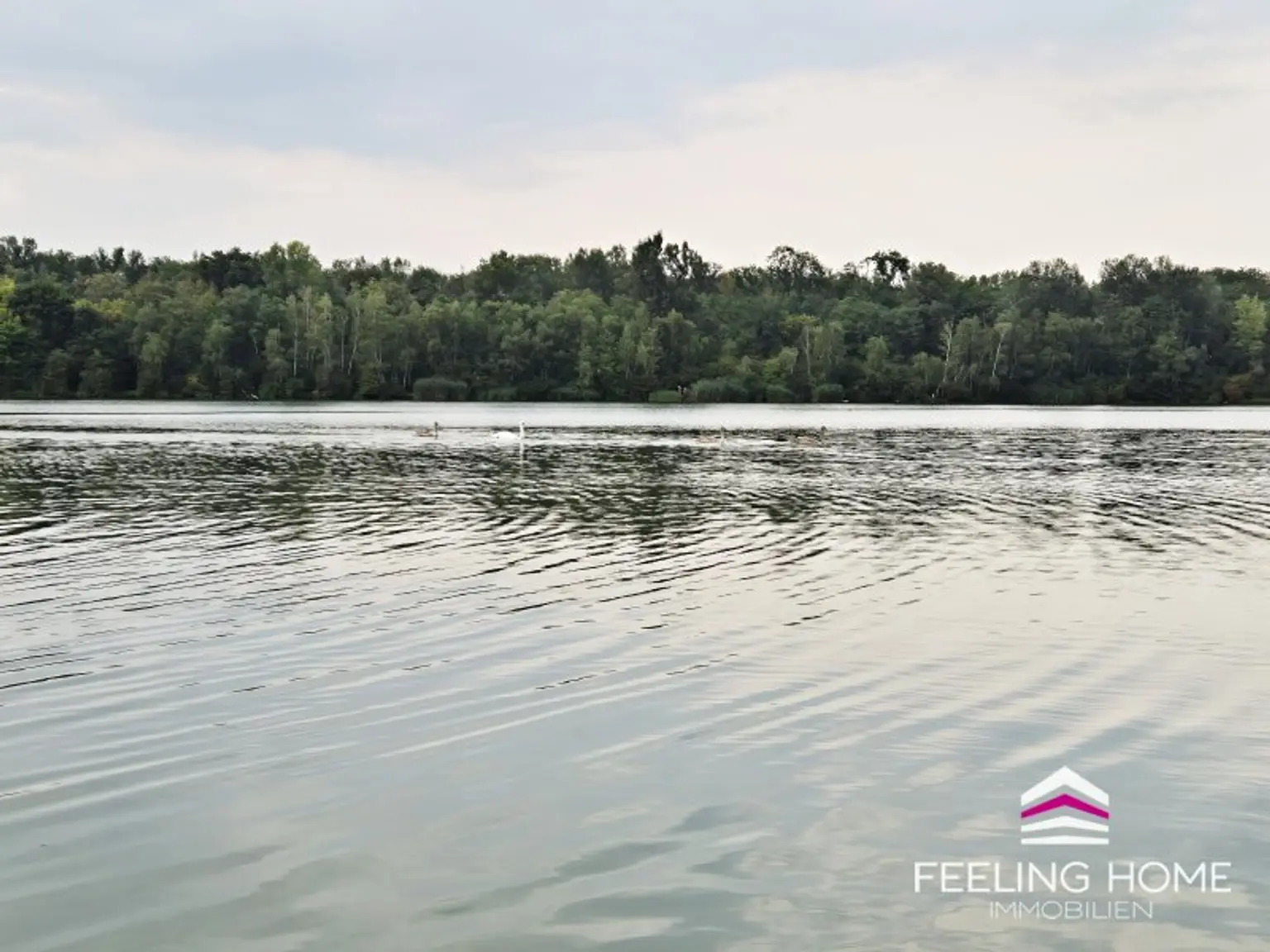 WASSERNÄHE TRIFFT POTENZIAL: Charmantes Sommerhaus mit 2 Grundstücken nur 5 Min. zur Donau – Ganzjähriges Wohnen erlaubt!