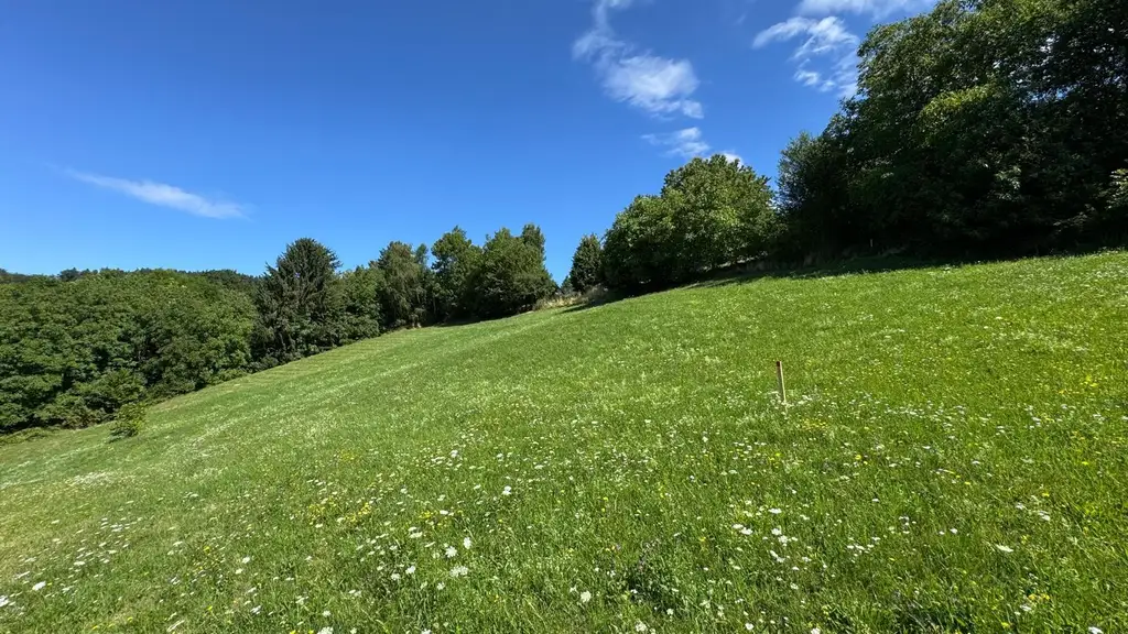 Baugrundstück mit sonniger Aussichtslage, 8045 Zösenberg, nahe Graz!
