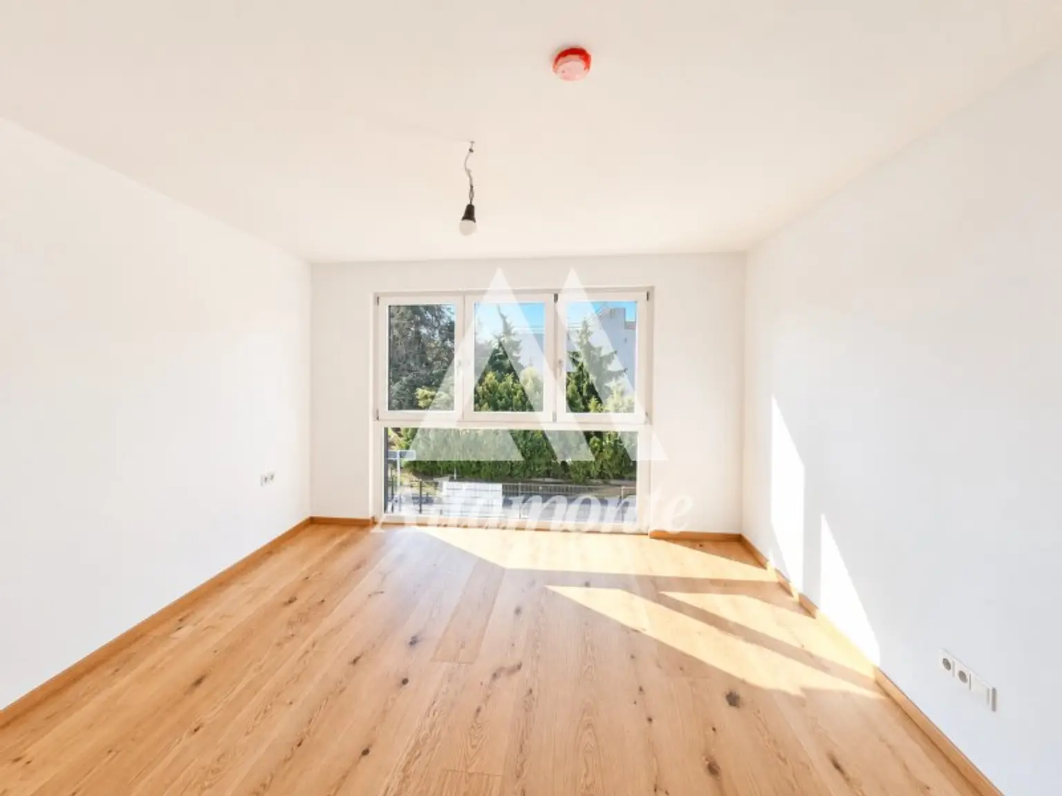 Zimmer 1