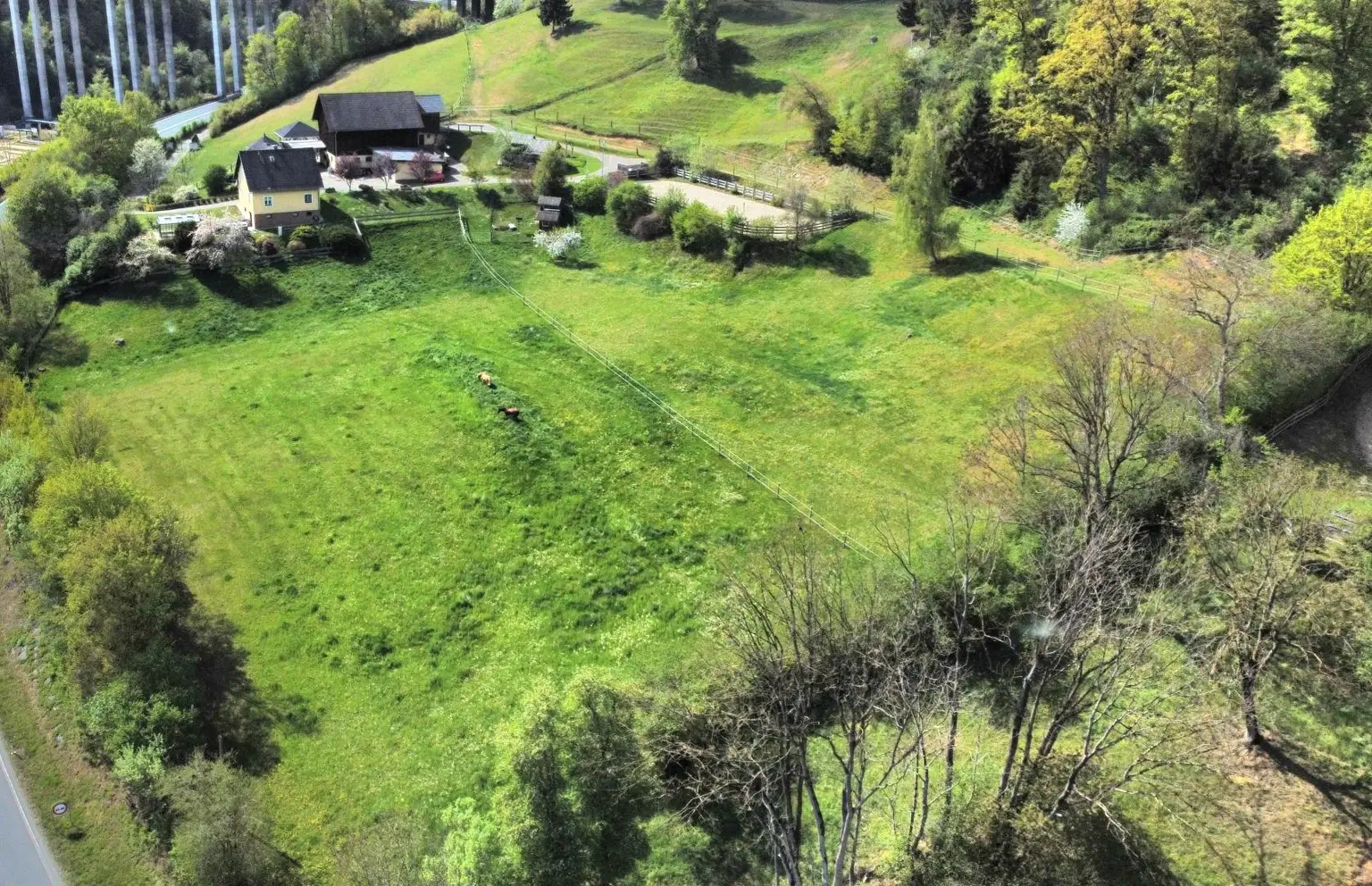 dji_fly_20260422_151532_477_1776863880664_photo_op