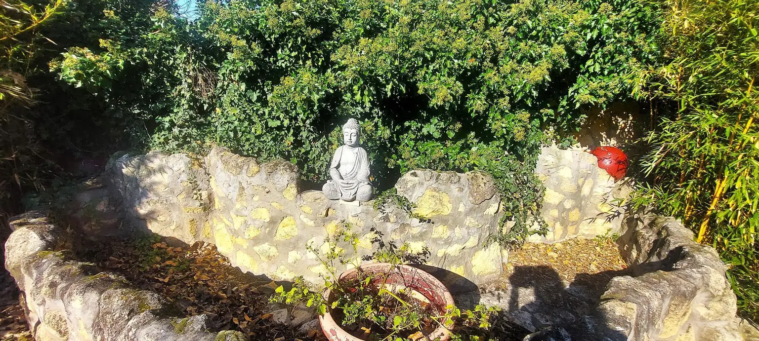 Garten Blick auf