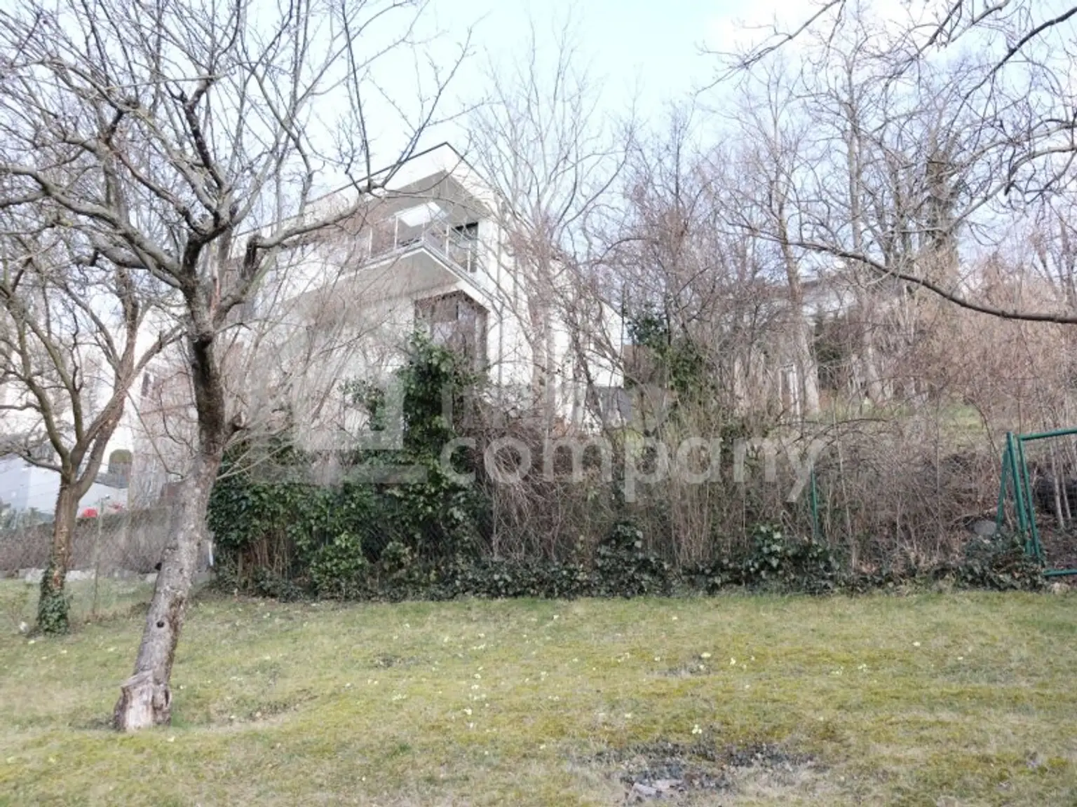 ES GIBT FÜR ALLES EINEN GRUND - wir haben gleich 3 davon…