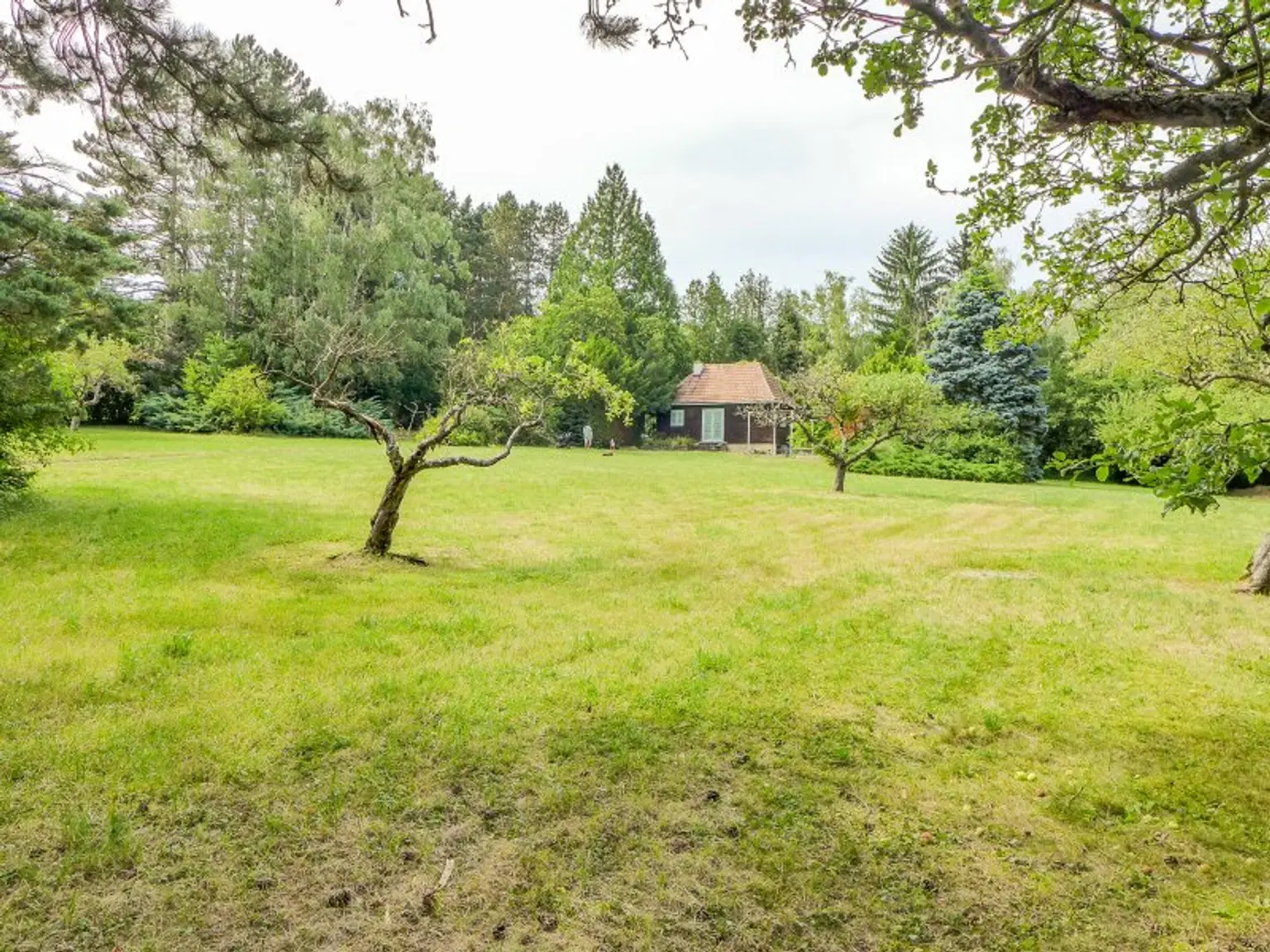 Entwicklungsfähige Liegenschaft im Wienerwald - 6.293 m² Bauland Wohngebiet