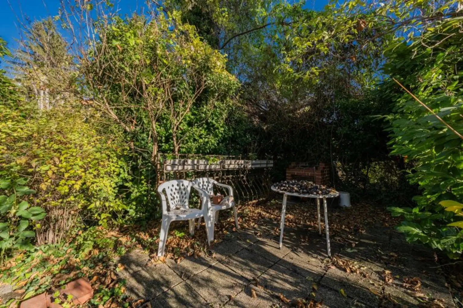 Garten - Impressionen