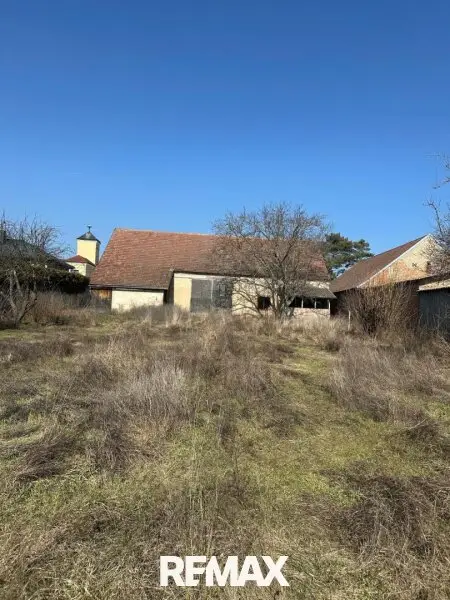 Ansicht vom Garten