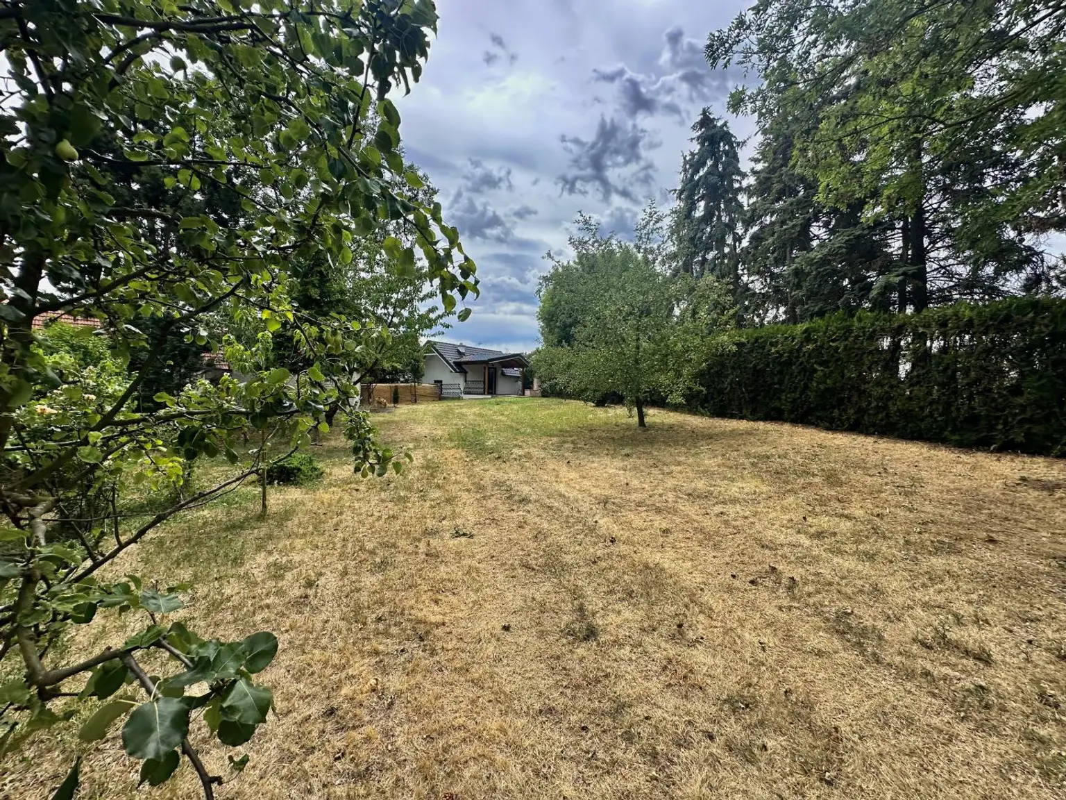 Garten 2