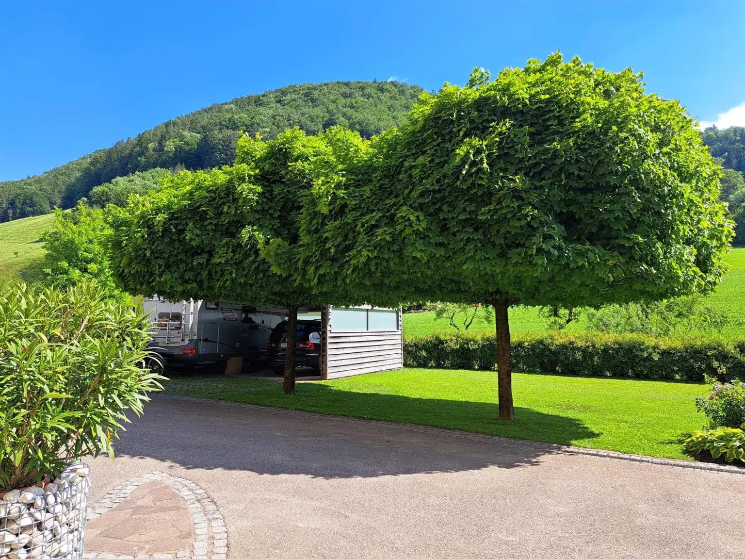 Carport und Garagenzufahrt
