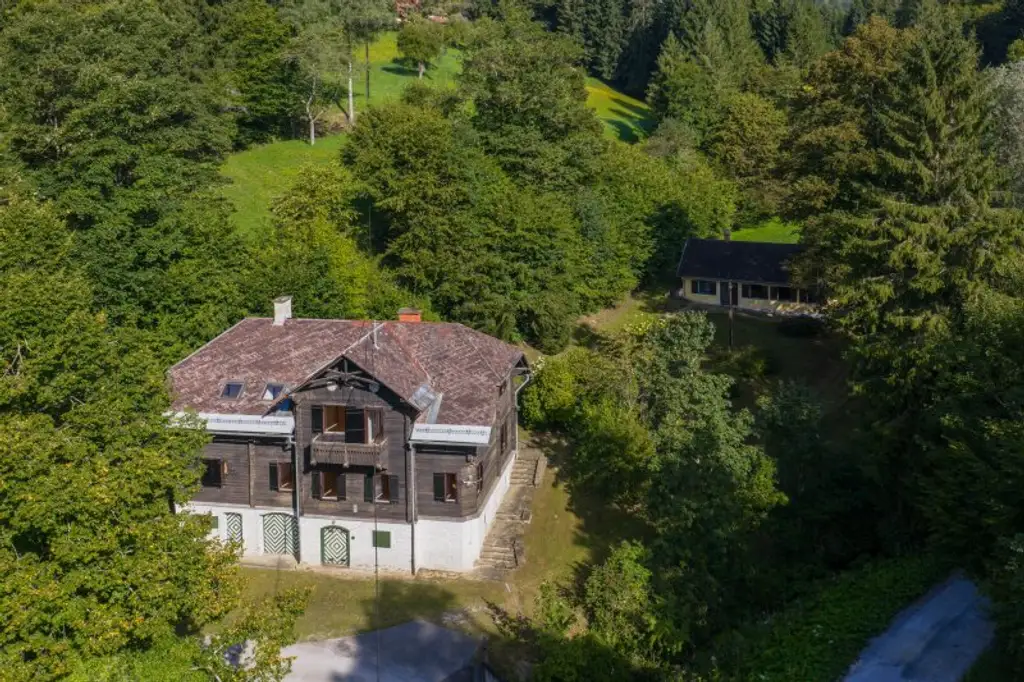 Ehemaliges Forsthaus mit Wirtschaftsgebäuden, allein und ruhig im Wald gelegen.