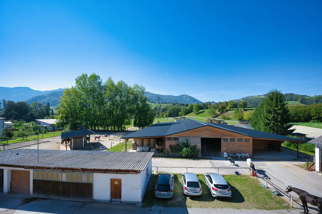 Reiterhof. Vierkanter. Wirtshaus. Zimmervermietung. Wohnungen. Natur.