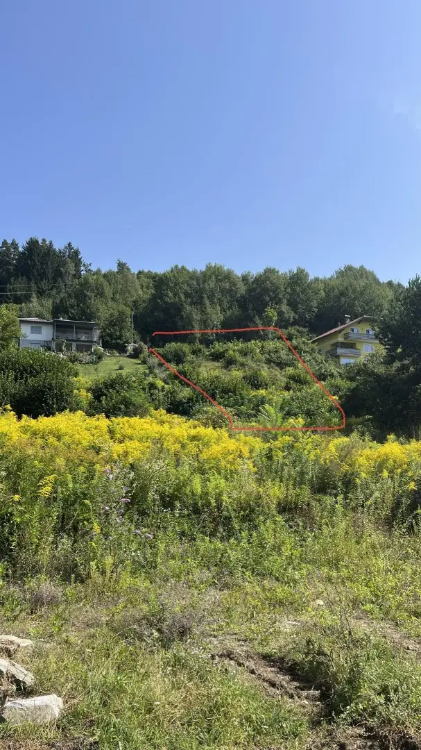 Besondere Akzente - Premium Wohnoase in Seeboden am Millstätter See