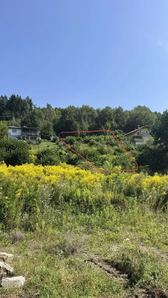 Besondere Akzente - Premium Wohnoase in Seeboden am Millstätter See