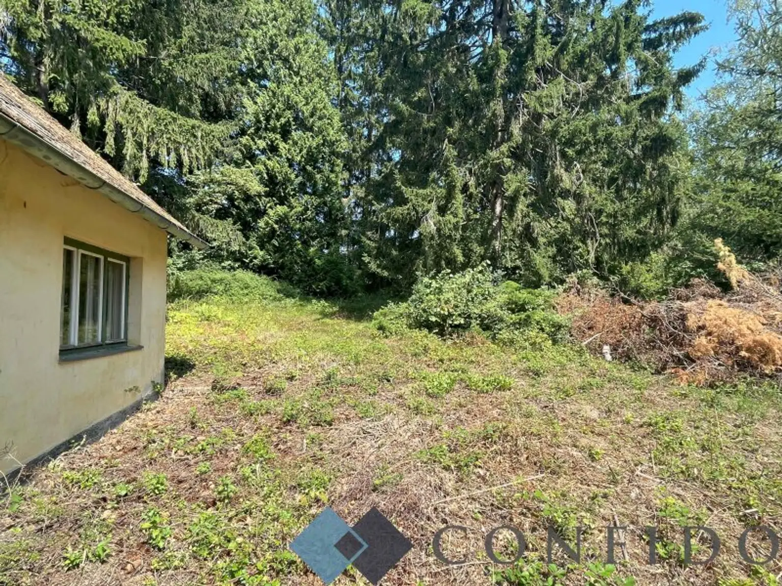 Rarität - Grundstücke in Ruhelage an der Grenze Wiens zu verkaufen!