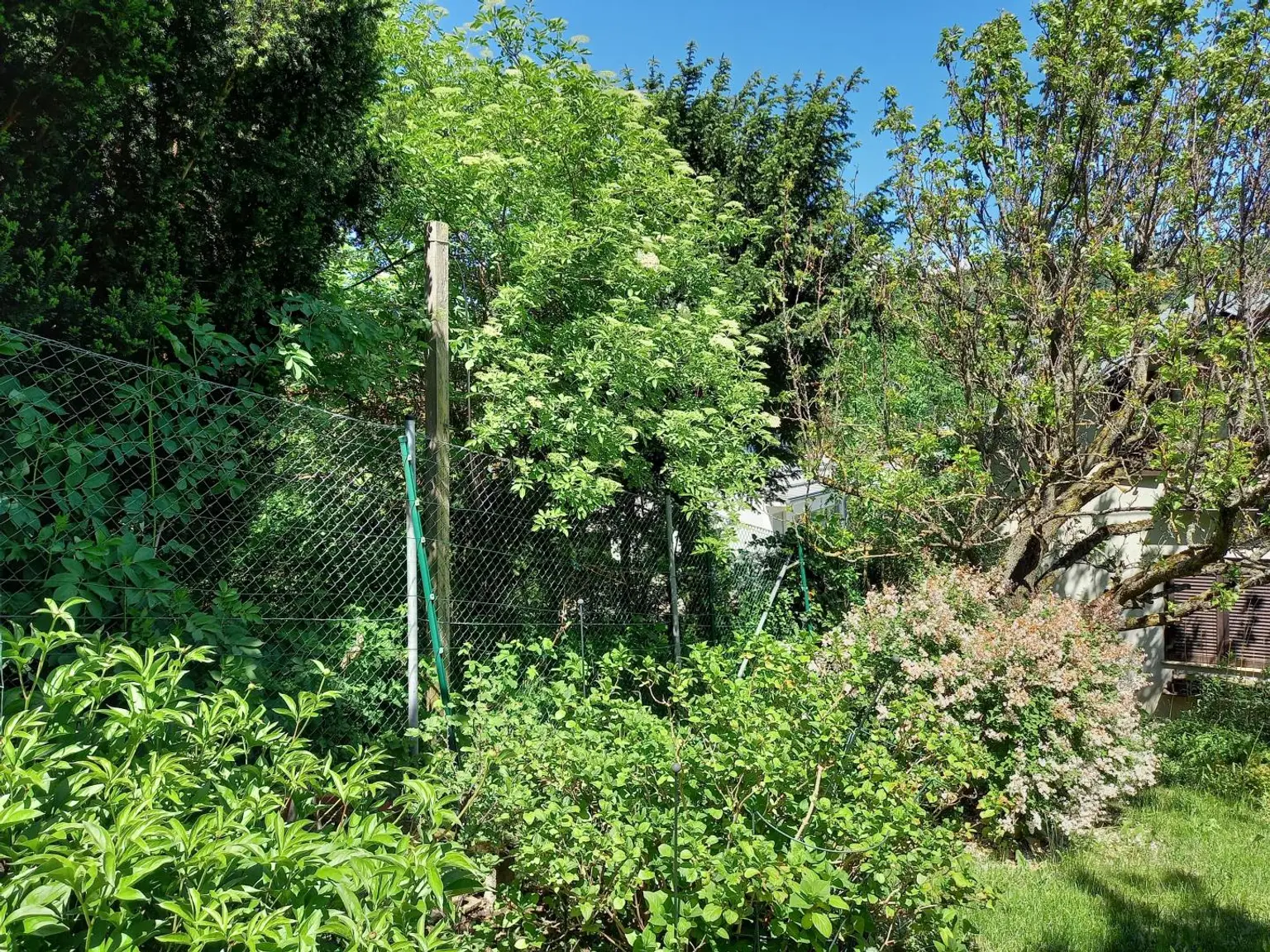 Garten Bild 2