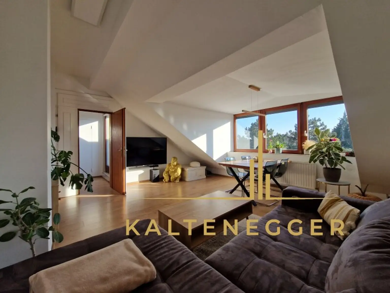 Wohnraum ca. 26 m² WNFL