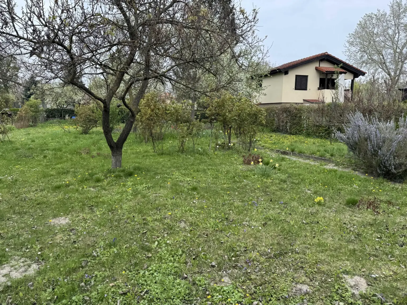 01. Kleingartengrundstück 2100 Korneuburg