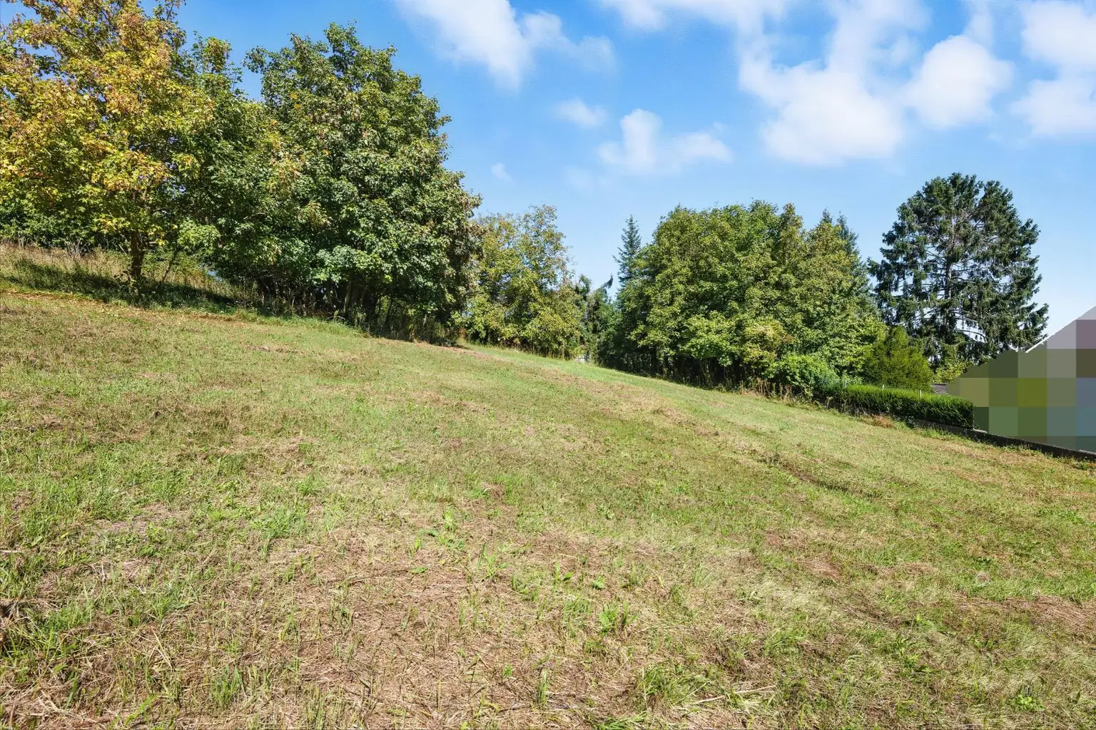 NATUR GENIEßEN, NÄHE ZU WIEN NUTZEN – GRUNDSTÜCK IM WISCHATAL!