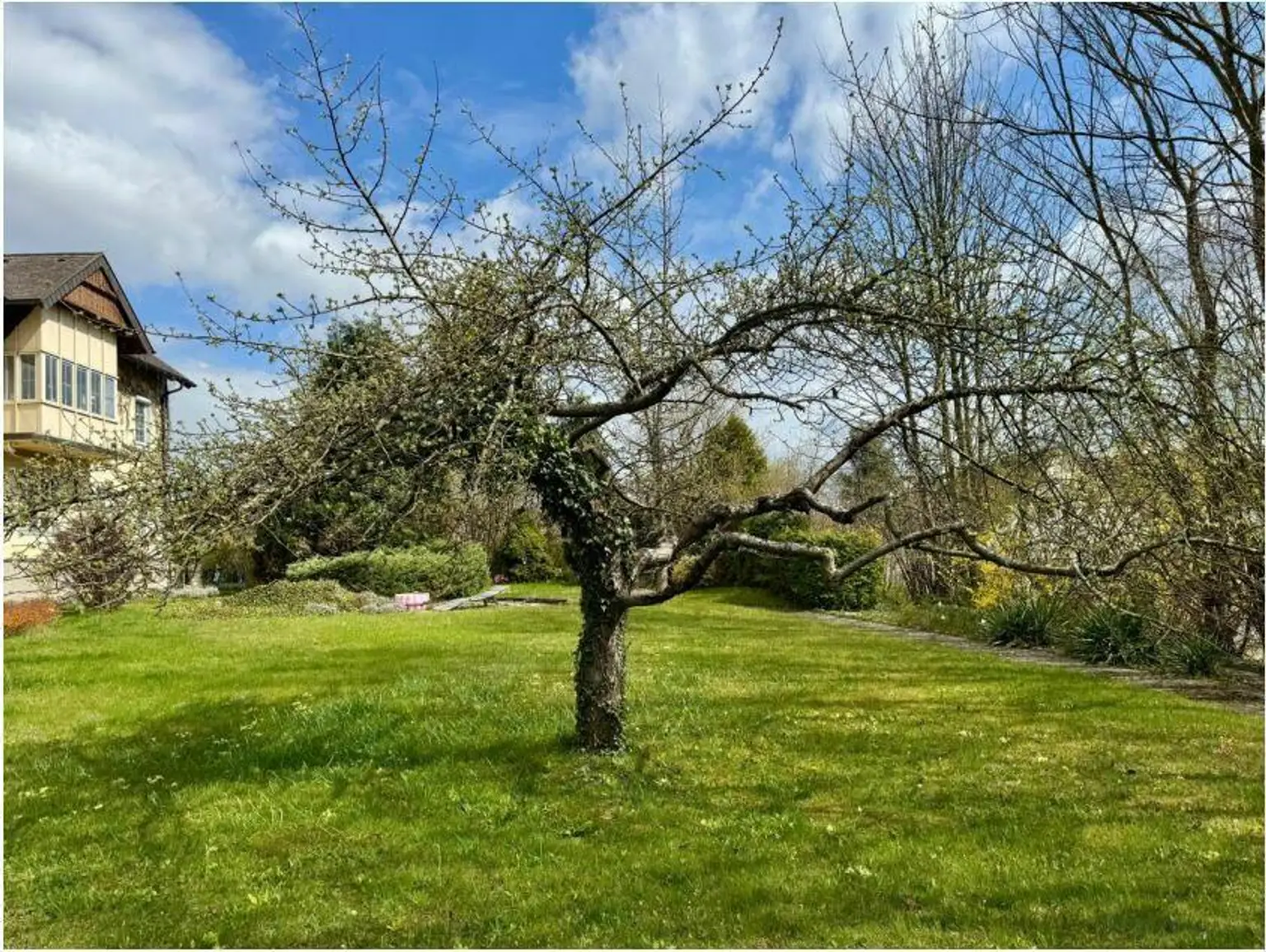 **Villa mit Türmchen in bester Lage  ** 2 Wohneinheiten ** parkähnlicher Garten **2 Parzellen **