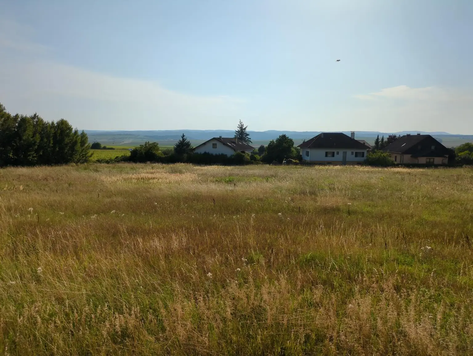 Grundstück, Nähe von Horn u. Maissau, Obj. 4076