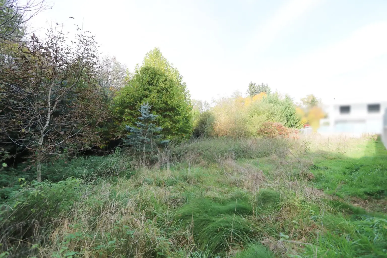 Vom Traum zum Zuhause – 821 m² Lebensfreude in Steinhaus - Grundstück mit vielen Möglichkeiten