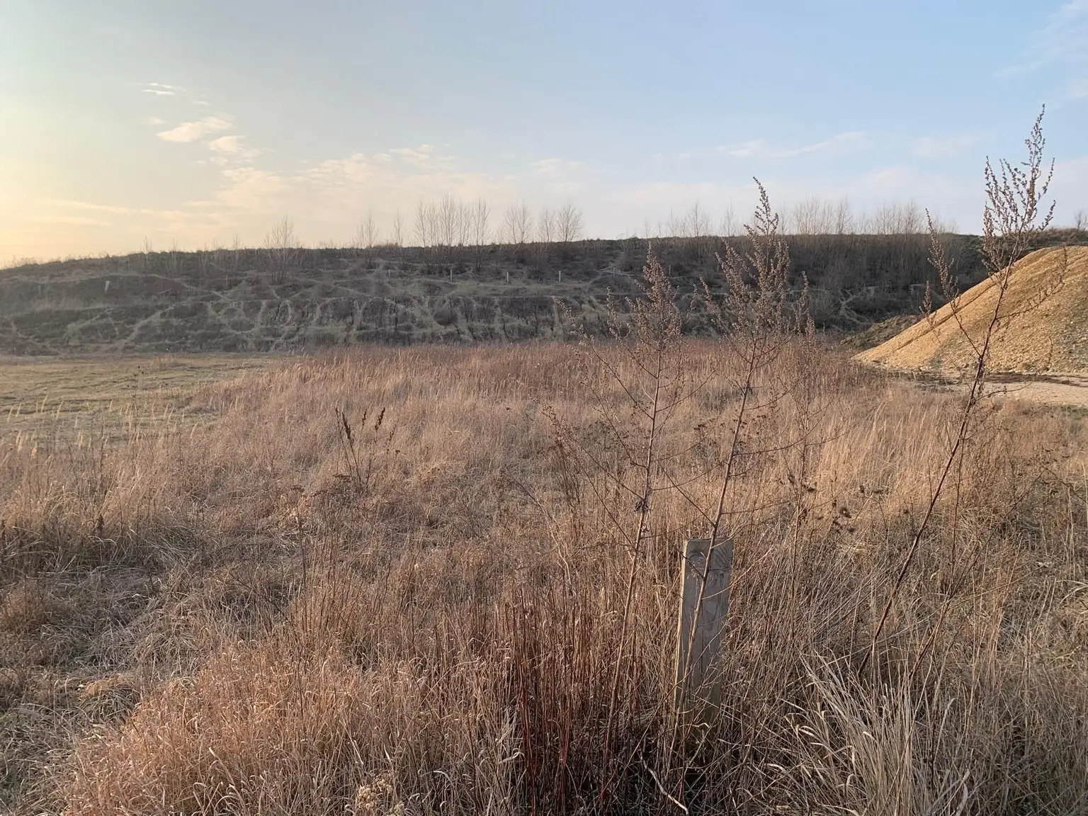 INDUSTRIEGRUNDSTÜCK - 40 Minuten vor Wien